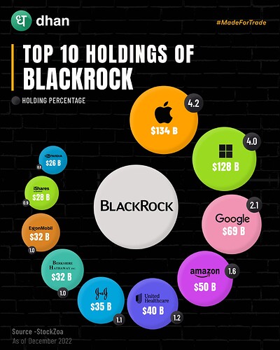 BlackRock Holdings